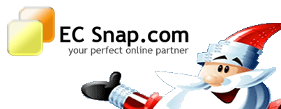 pre made web design, template web design, instant web design,
