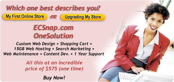 ecommerce software & shopping cart solutions